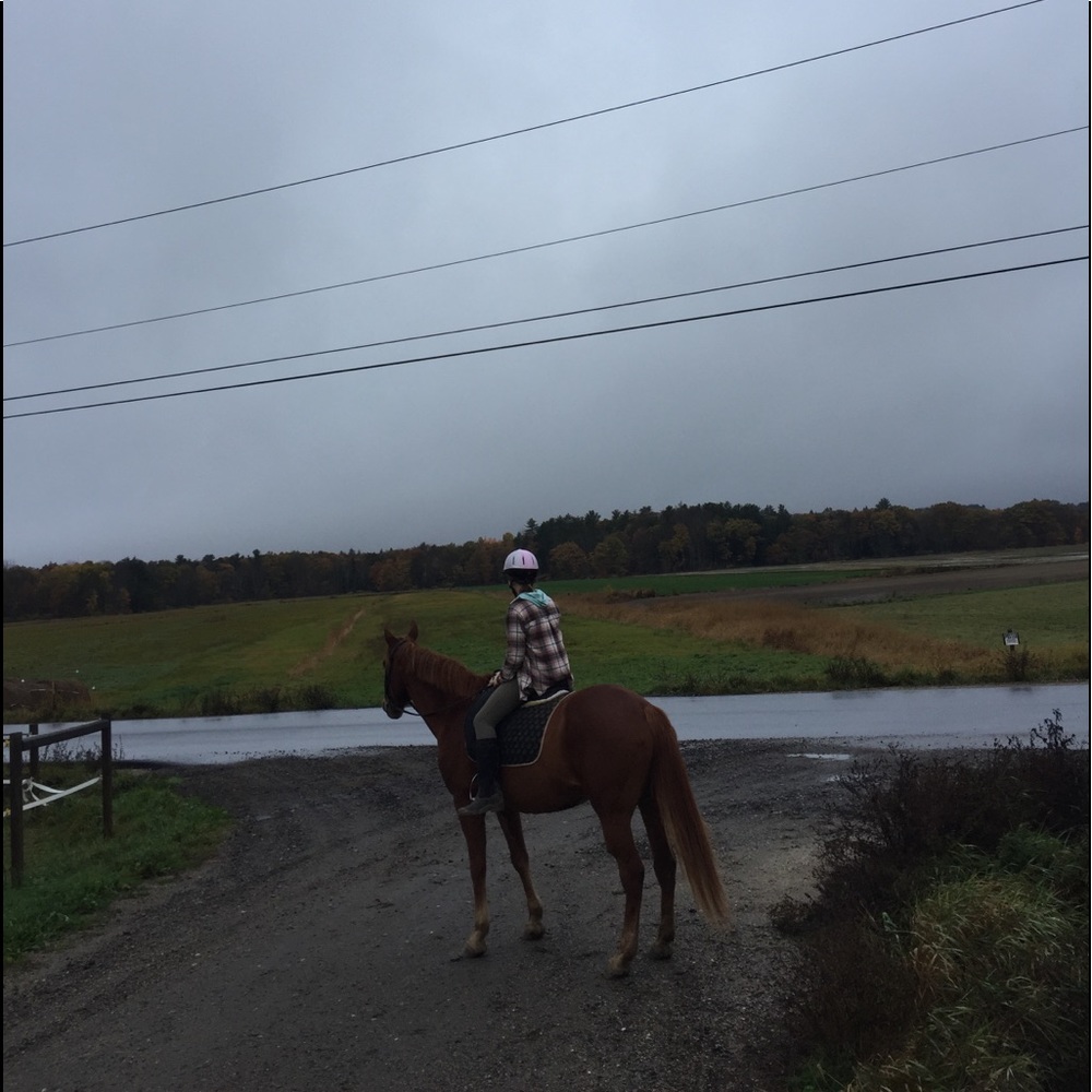 Meet your Posher, Sophia